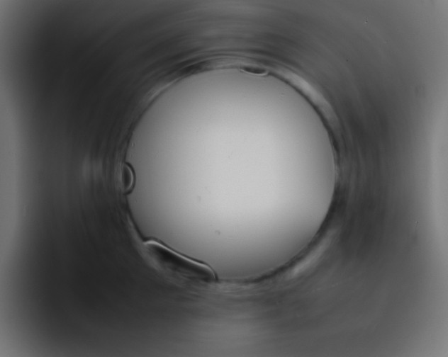 X0000092100905200710031210