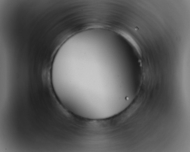 X0000092100906200710031210