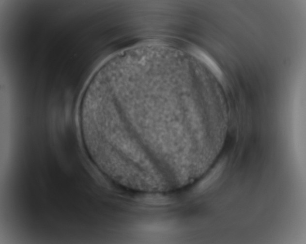 X0000092100907200710031210