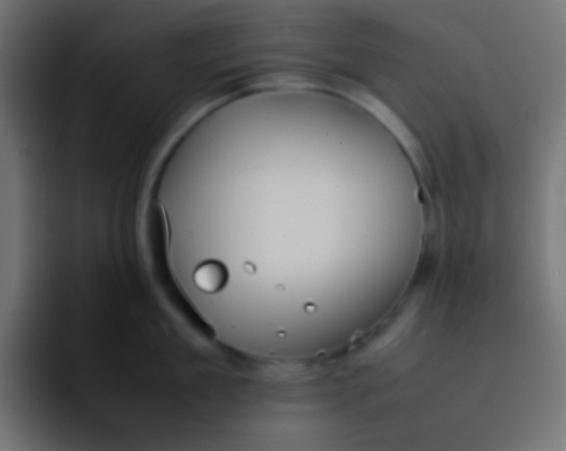 X0000092100909200710031210