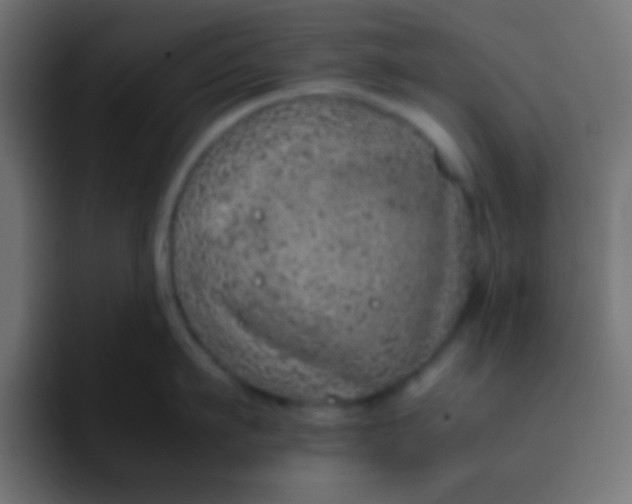 X0000092100911200710031210