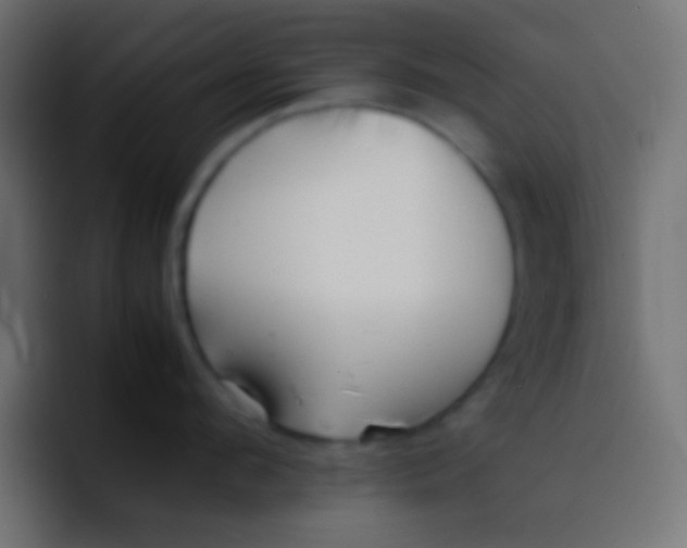 X0000092100912200710031210