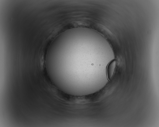 X0000092100915200710031209