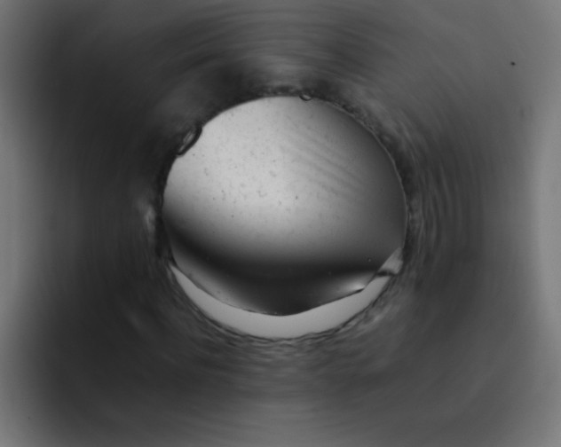 X0000092100916200710031209