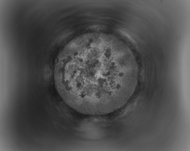 X0000092100917200710031209