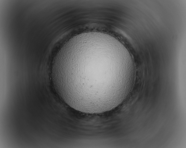 X0000092100919200710031209