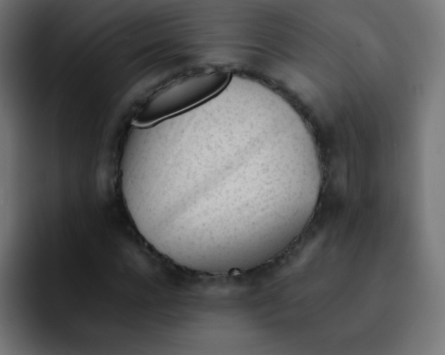 X0000092100920200710031209