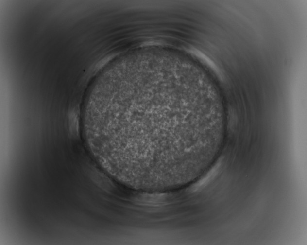 X0000092100921200710031209