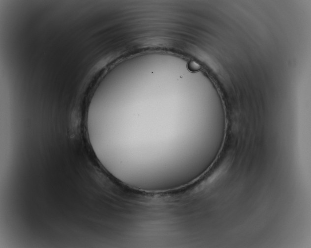 X0000092100922200710031209