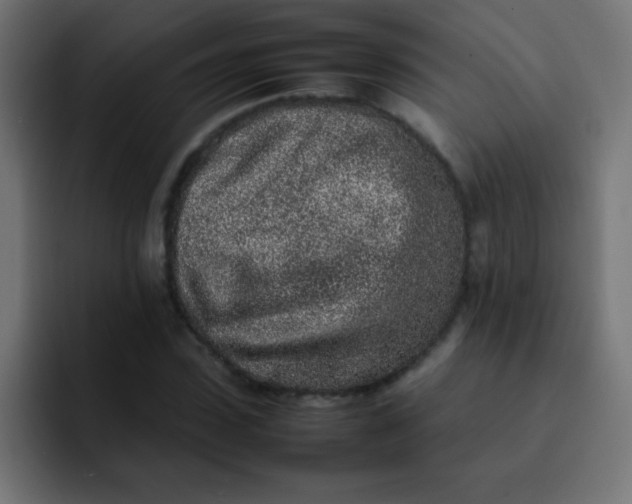 X0000092100923200710031209