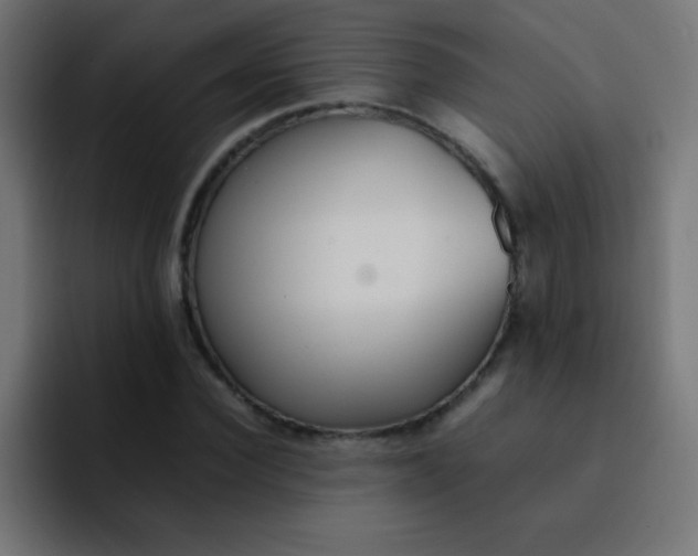 X0000092100924200710031209