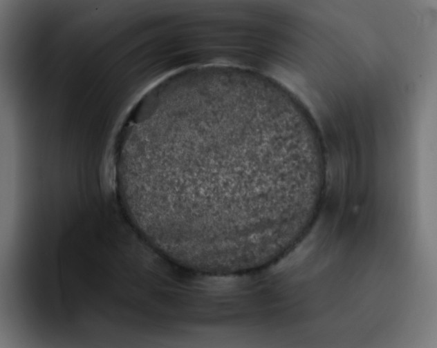 X0000092100925200710031209