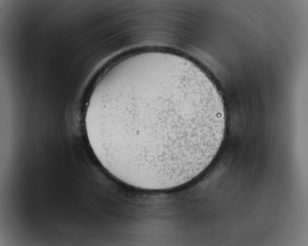 X0000092100926200710031209