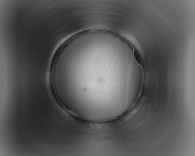 X0000092100928200710031209