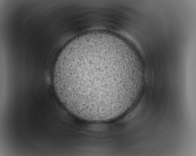 X0000092100929200710031209