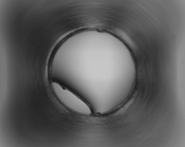 X0000092100932200710031210