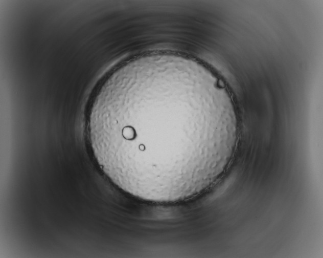 X0000092100933200710031210