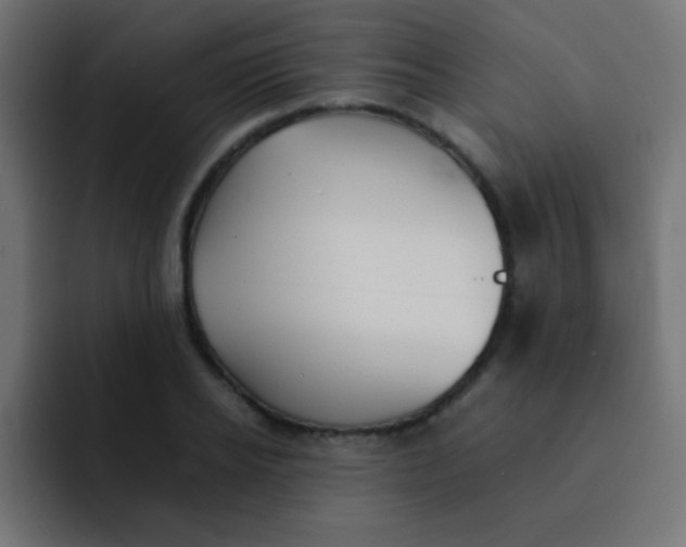 X0000092100934200710031210