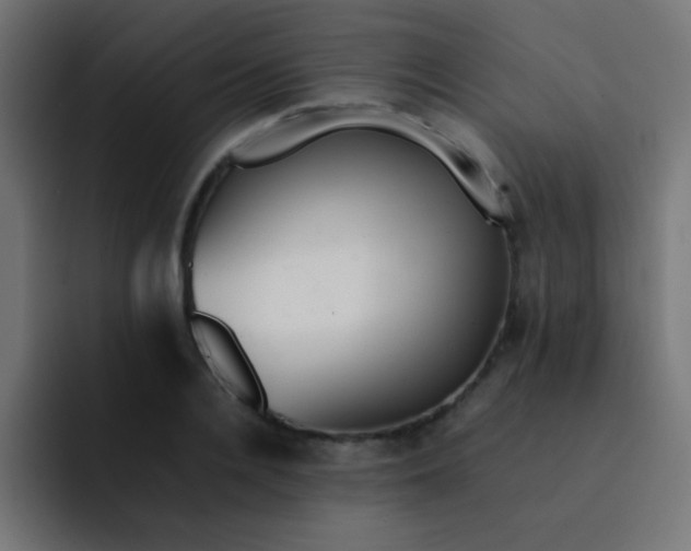 X0000092100936200710031210