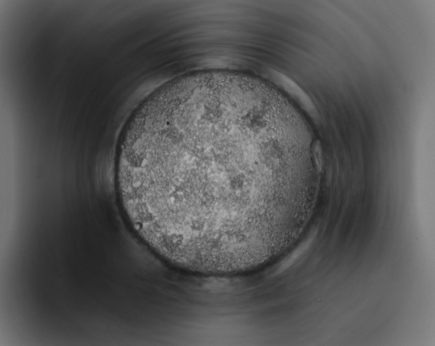 X0000092100938200710031210