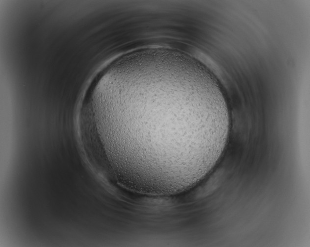 X0000092100939200710031210