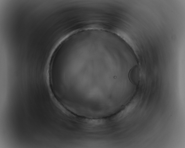 X0000092100941200710031210