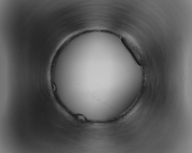 X0000092100942200710031210