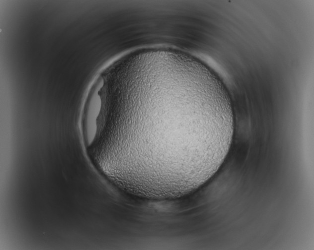 X0000092100943200710031210