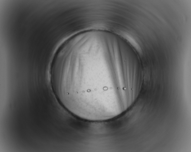 X0000092100944200710031210