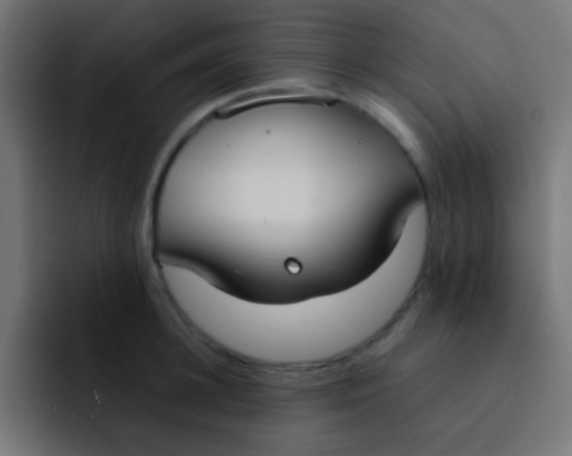 X0000092100948200710031210