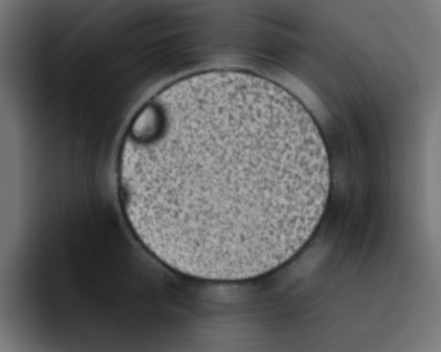 X0000092100950200710031210