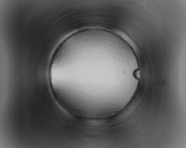 X0000092100951200710031210