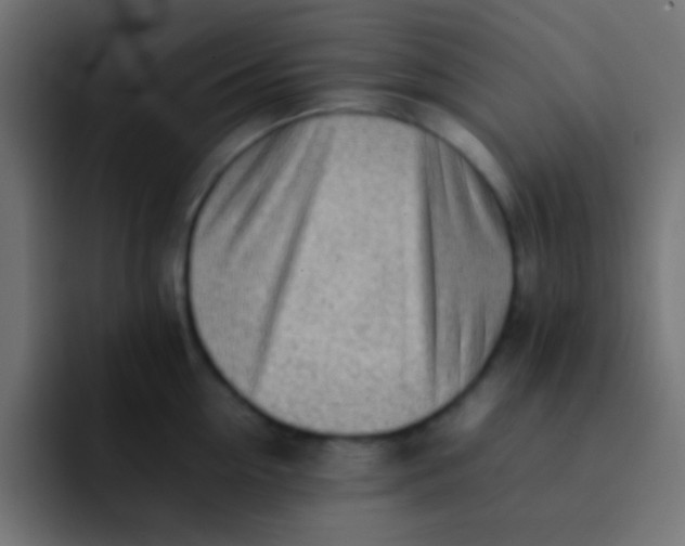 X0000092100954200710031210