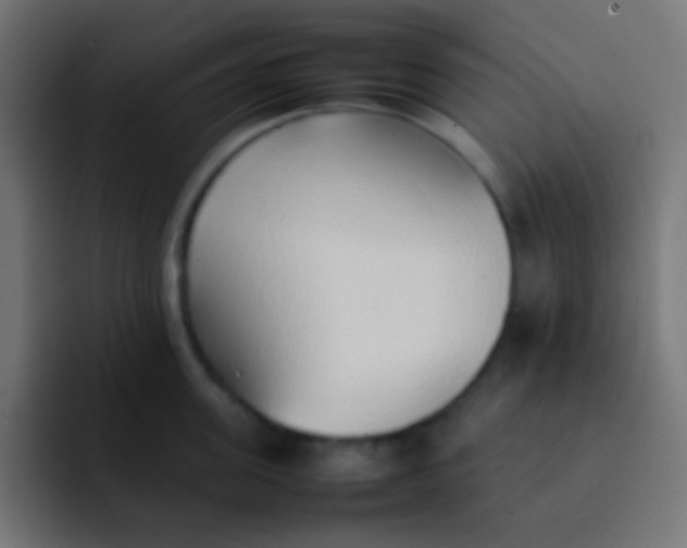 X0000092100955200710031210