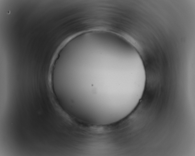 X0000092100956200710031210