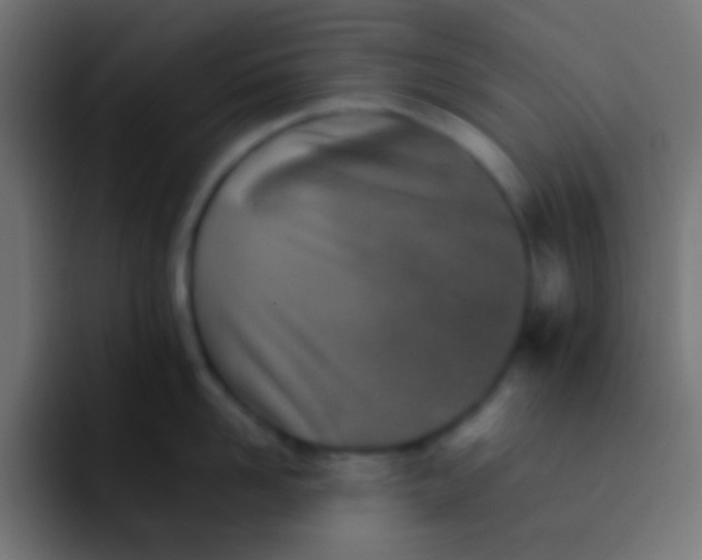 X0000092100958200710031210