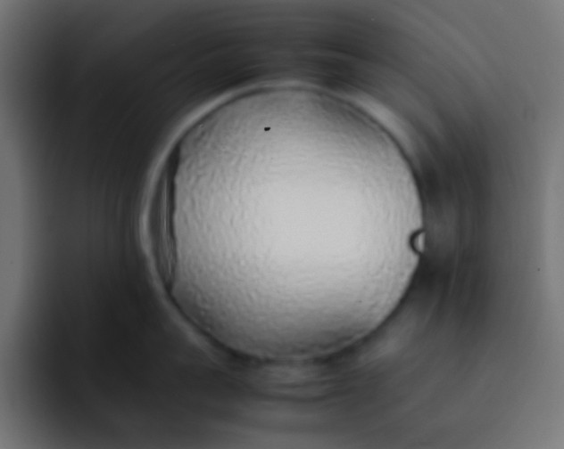 X0000092100959200710031210