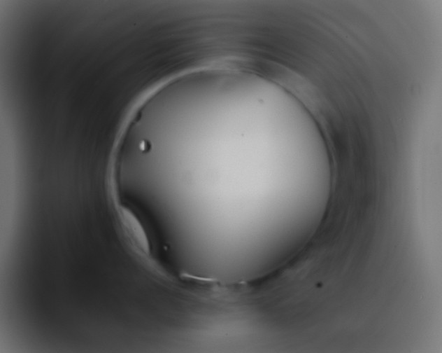 X0000092100960200710031210