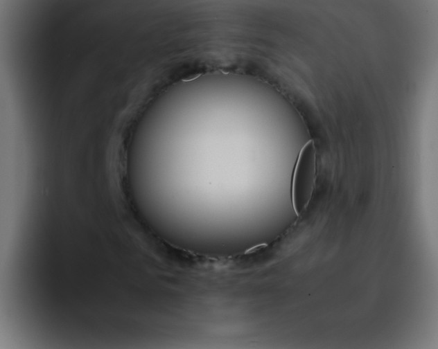 X0000092100961200710031209