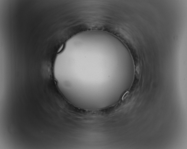 X0000092100963200710031209