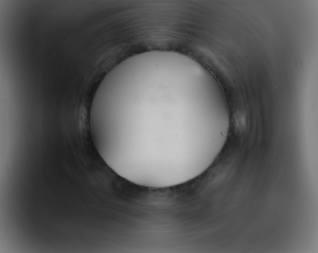 X0000092100964200710031209