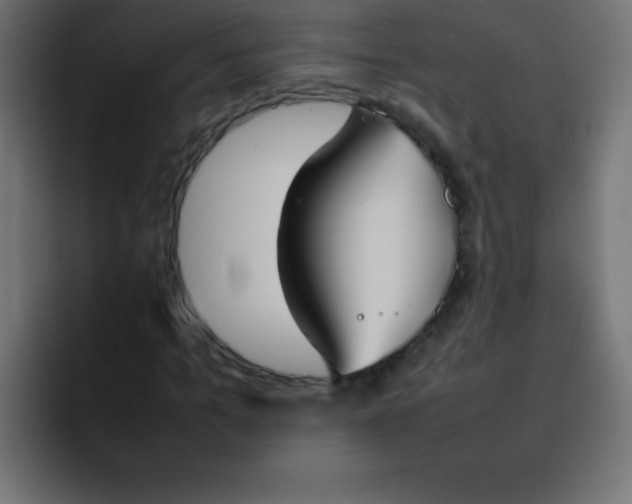 X0000092100965200710031209