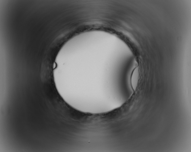 X0000092100967200710031209