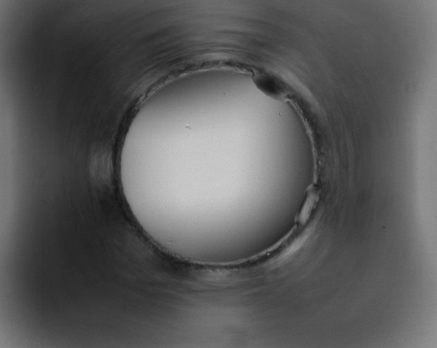 X0000092100969200710031209