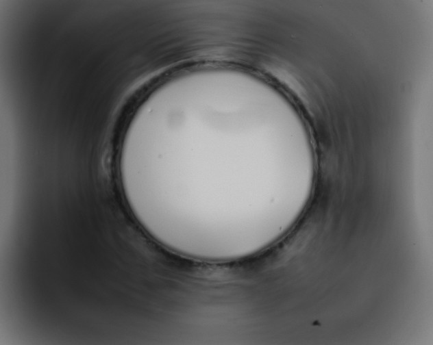 X0000092100971200710031209