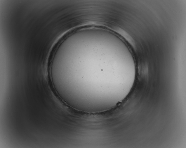 X0000092100972200710031209