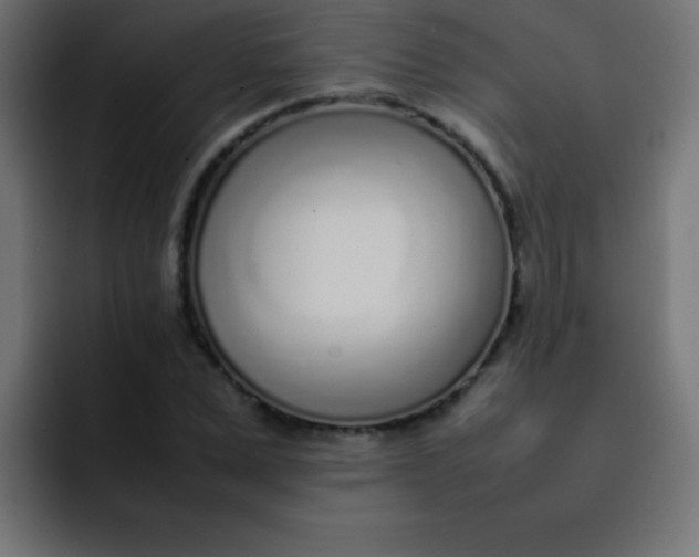 X0000092100975200710031209