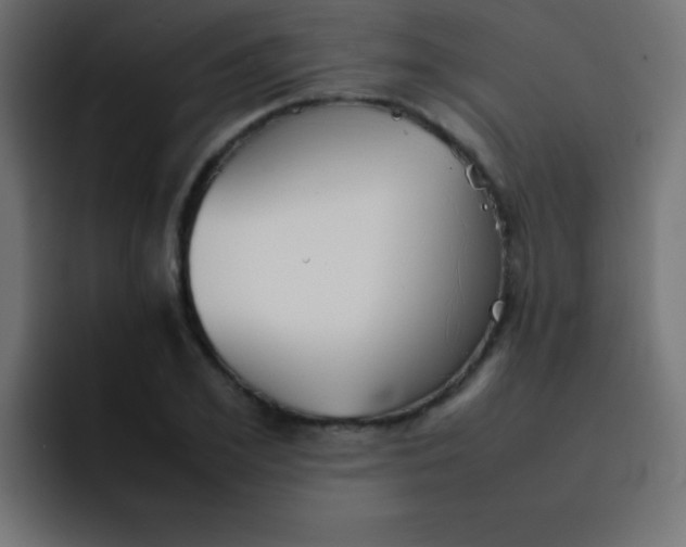 X0000092100981200710031209