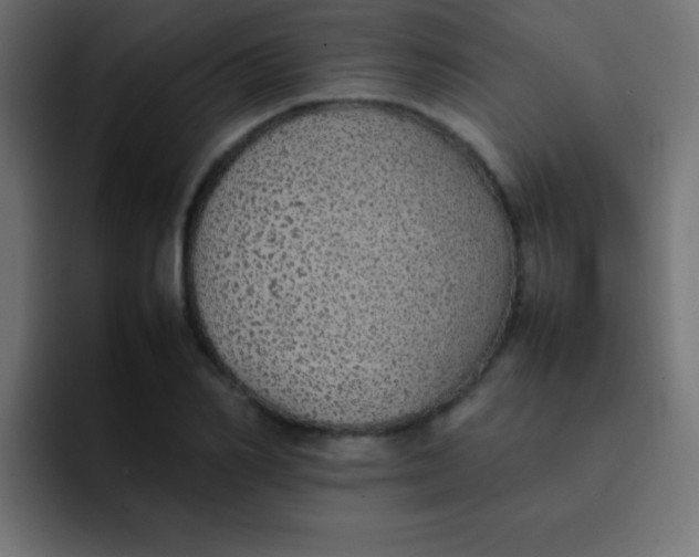 X0000092100982200710031209