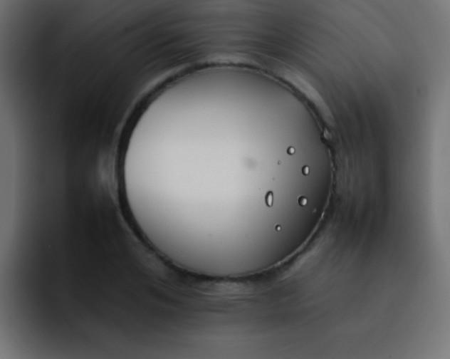 X0000092100984200710031209